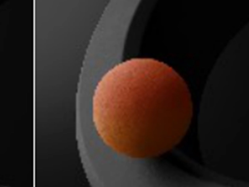 ACM Rubber CGPA4520L