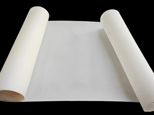 Perfluorinated Cation Exchange Membrane DF488s